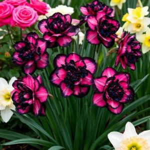 Нарцисс Золотая Корона купить по цене от 2000р. в интернет-магазине «Посадика» с доставкой почтой в в Карасуке и по всей России – [изображение №1].